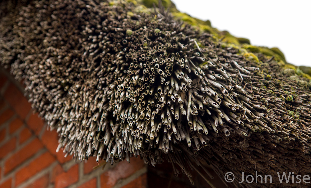A reed roof (thatch) in northwest Germany