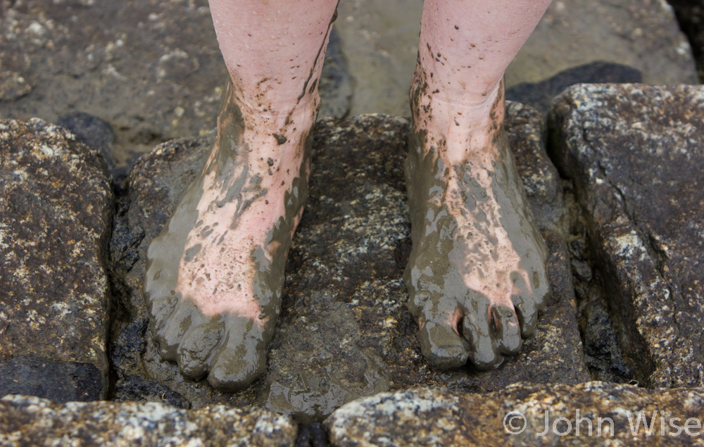 Caroline Wise's mud covered feet after walking in the Wattenmeer of northwest Germany