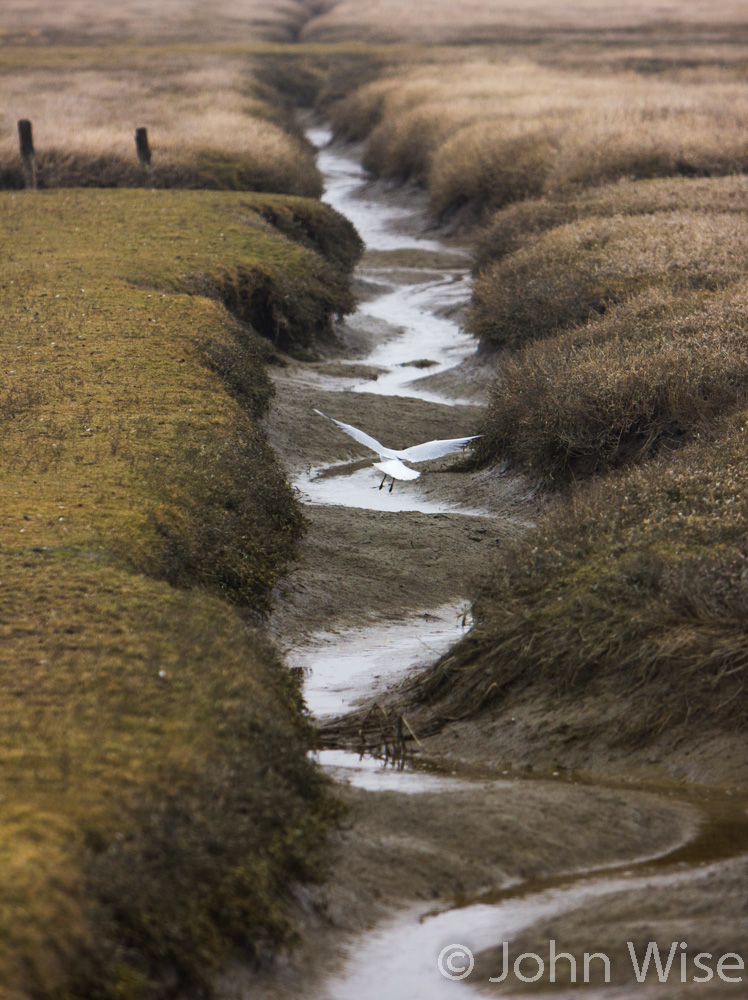 A drainage canal on the Wattenmeer that helps preserve the land 