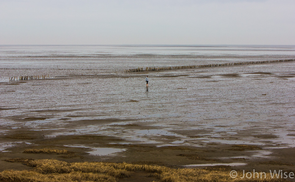 Caroline Wise walking on the Danish side of the Wattenmear near Rømø, Denmark 