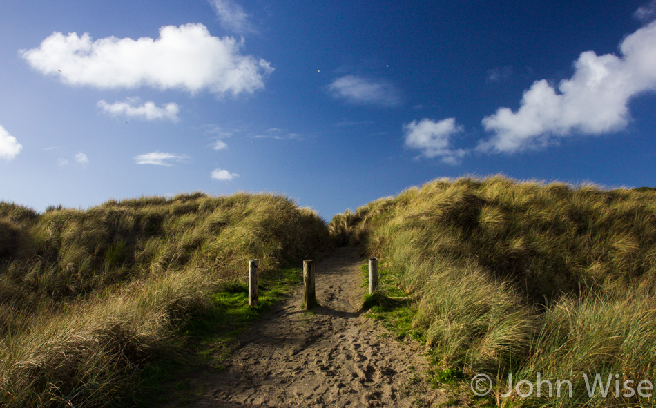 A trail leading to the beach over sand dunes and beach grasses on the Oregon coast