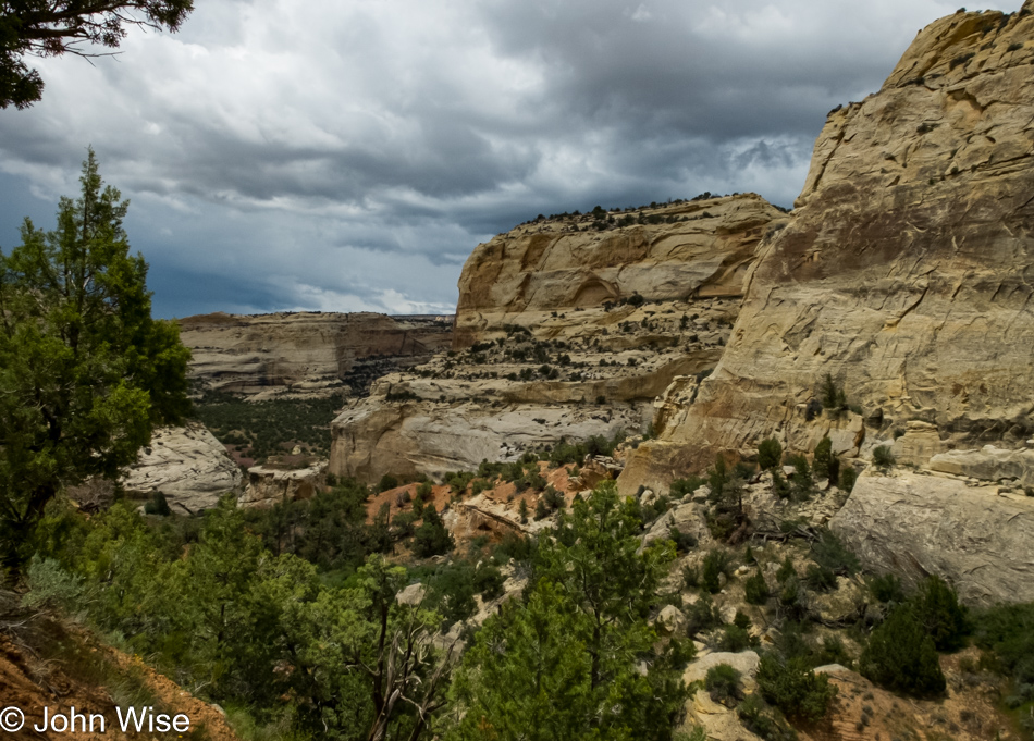 On the Yampa River in Dinosaur National Monument in Colorado