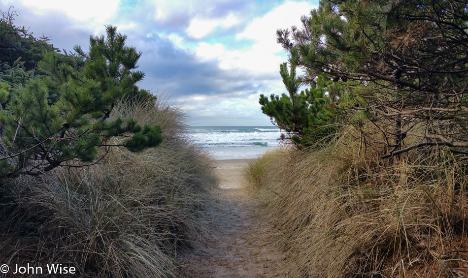 Path to the sea on the Oregon coast