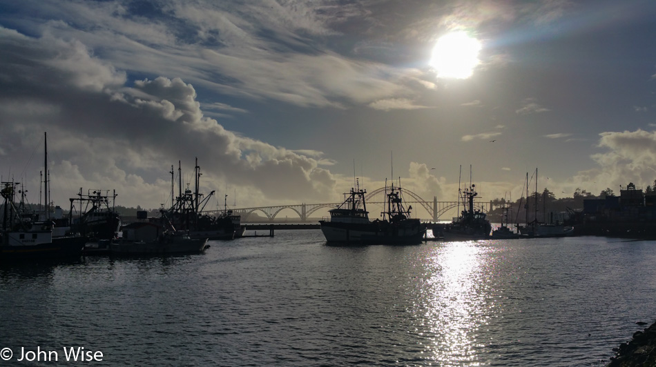 The view from Local Ocean Seafood in Newport, Oregon