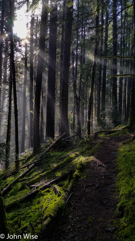 Carl Washburne State Park on the Oregon Coast