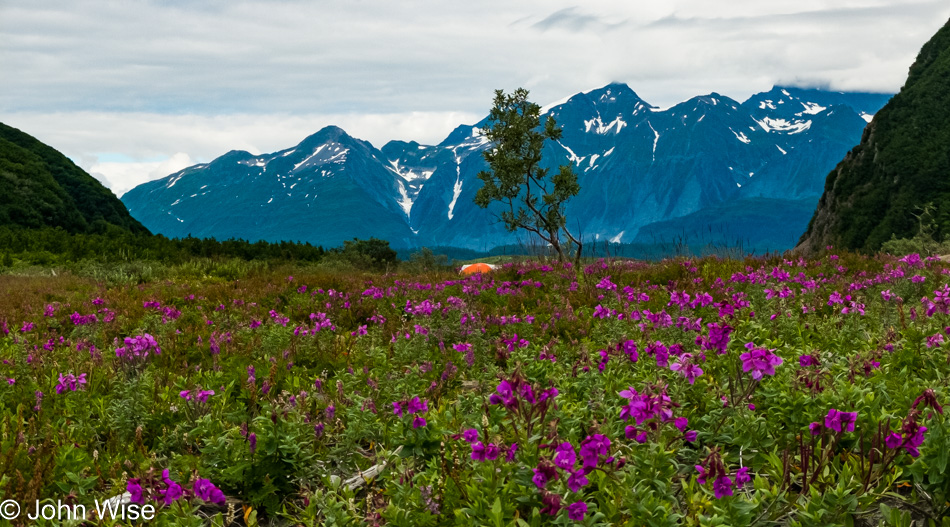 Camp on the Alsek Lake in Alaska