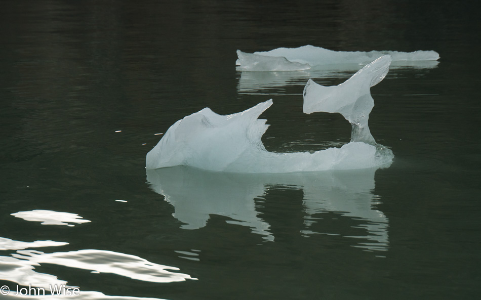 An iceberg that may have once been mighty reduced to an ice cube in Lowell Lake Kluane National Park Yukon, Canada
