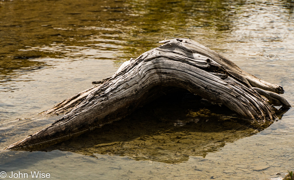 On the Alsek River in British Columbia, Canada