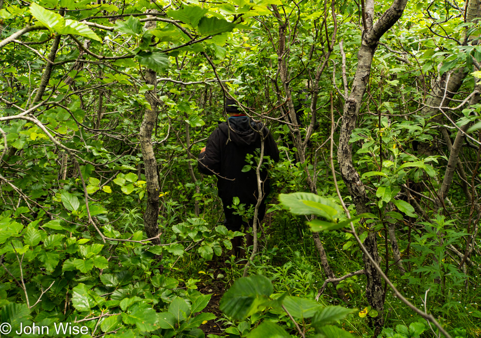 Hiking near Alsek Lake in Alaska, United States