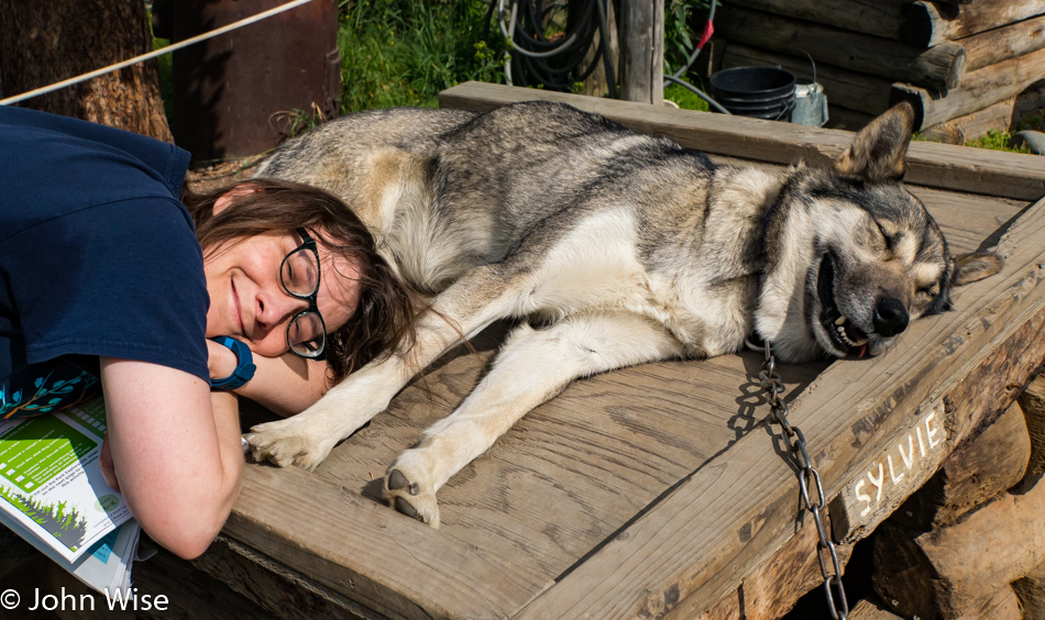 Caroline snuggling up with one of the huskies in Danali National Park