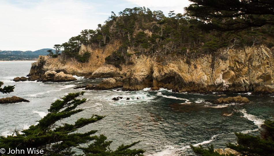 Point Lobos State Natural Reserve in Carmel, California