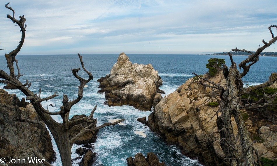 View while at Point Lobos State Natural Reserve
