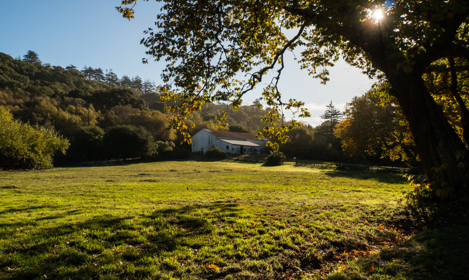 The barn at Andrew Molera State Park