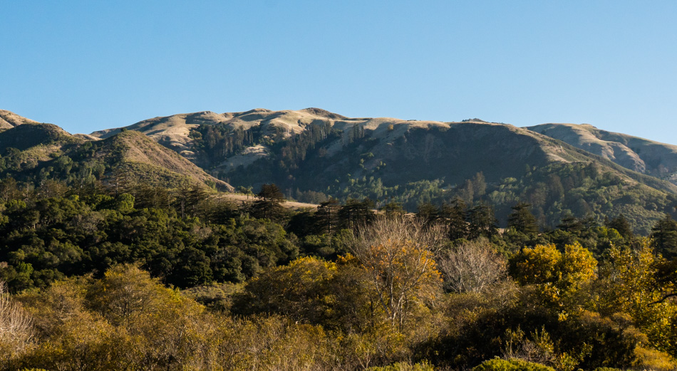 Coastal mountain view from Andrew Molera State Park