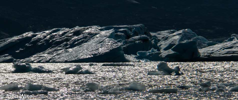 Icebergs in Lowell Lake on the Alsek River in Kluane National Park Yukon, Canada