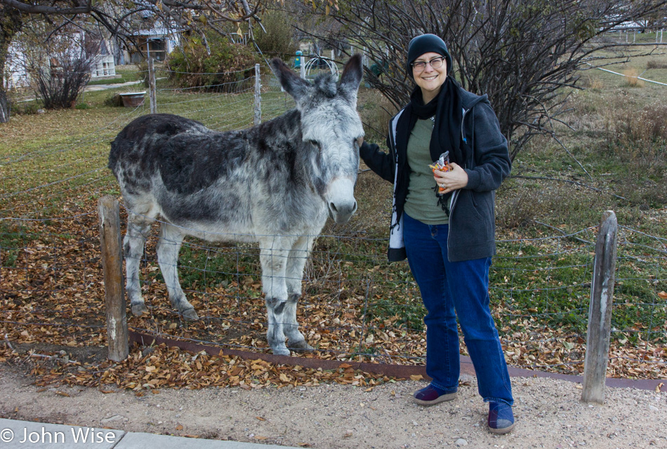 Caroline Wise and the roadside donkey in Glendale, Utah