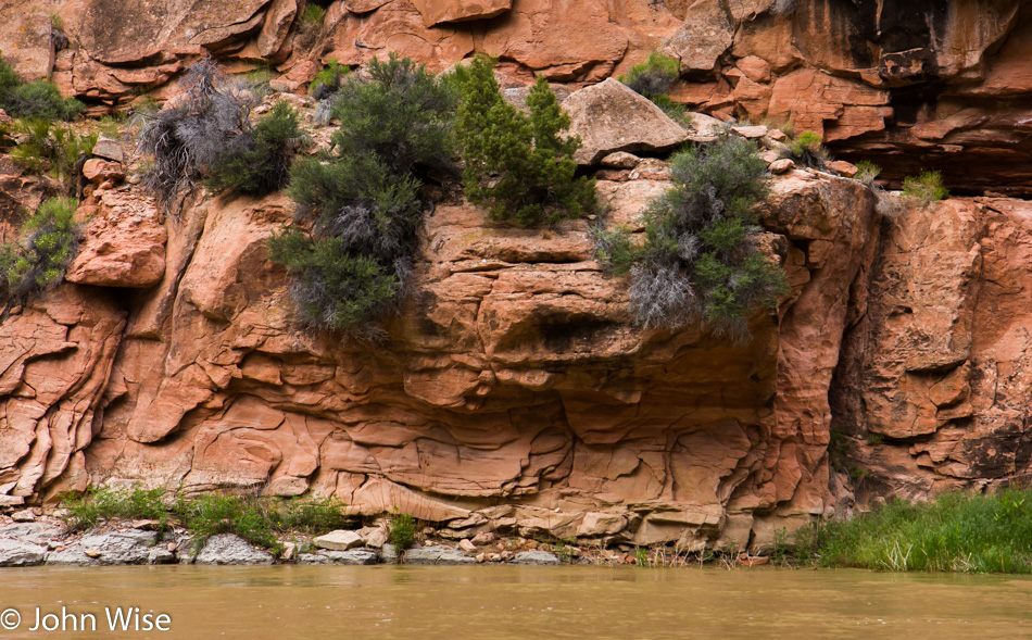 On the Yampa river in Dinosaur National Monument Colorado