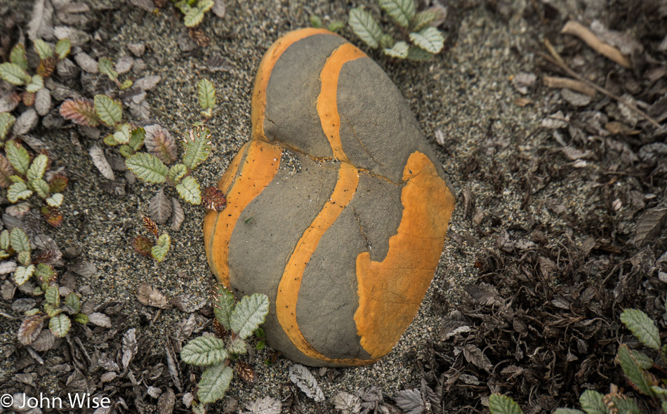 Heart shaped orange and grey rock found river side on the Alsek in British Columbia, Canada