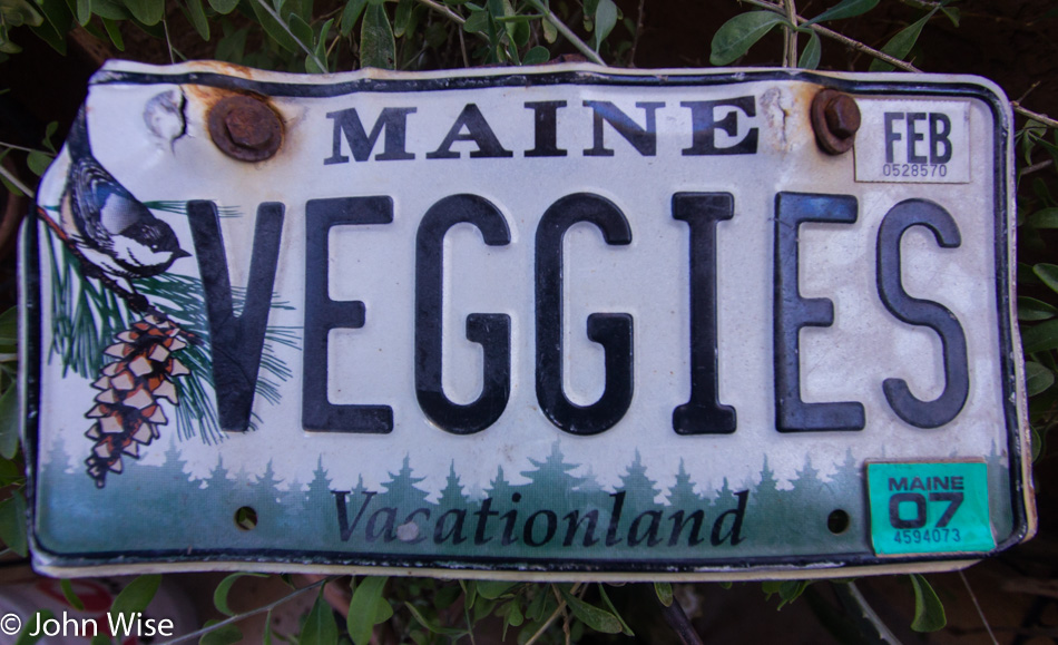 Maine License Plate "VEGGIES"