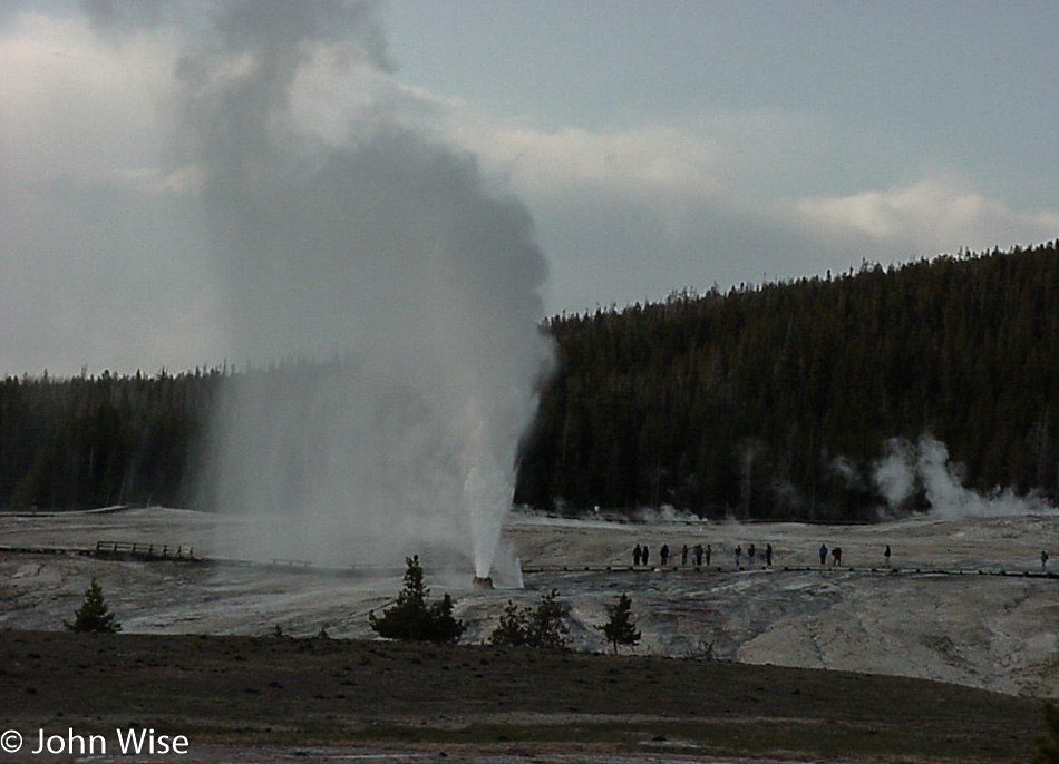 A geyser at the Old Faithful Basin in Yellowstone National Park Wyoming