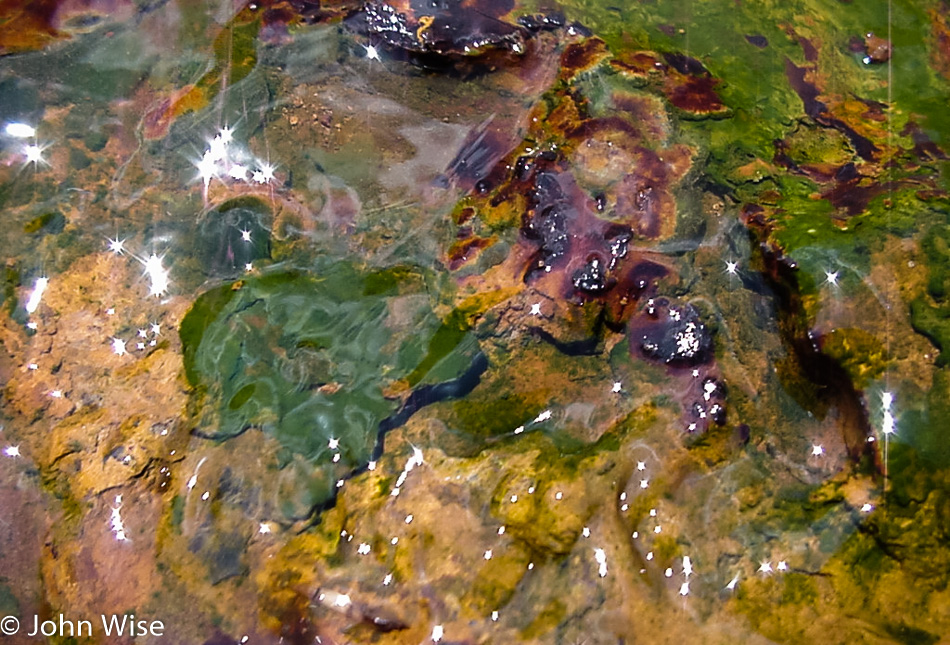 Bacterial mat at Yellowstone National Park, Wyoming
