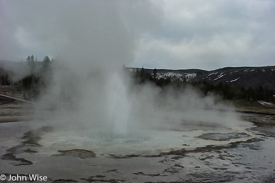 Geyser in Yellowstone National Park, Wyoming