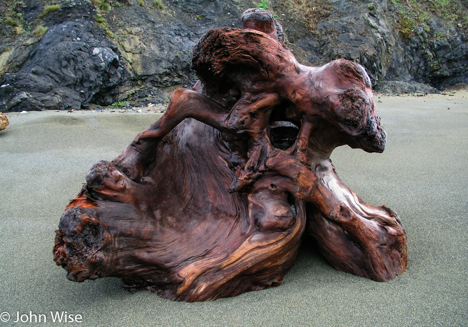 Driftwood on Enderts Beach in Crescent City, California