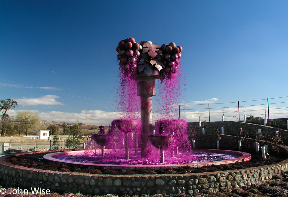 Red Cedar Vineyard fountain in Shandon, California