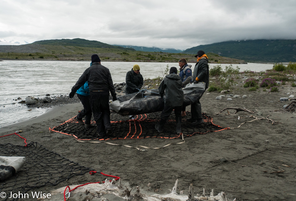 Loading rafting gear into net for heli-portage on the Alsek River in British Columbia, Canada