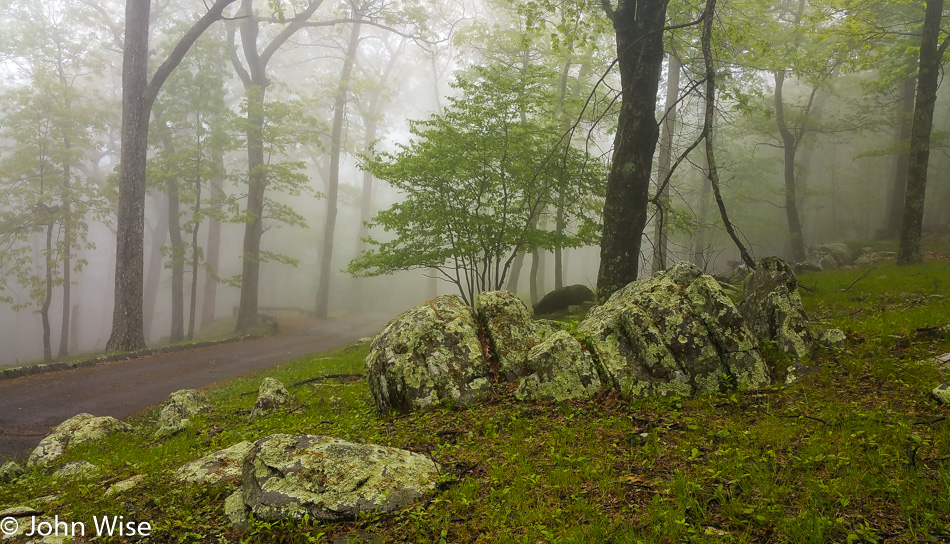 Near The Saddle overlook on the Blue Ridge Parkway in Virginia