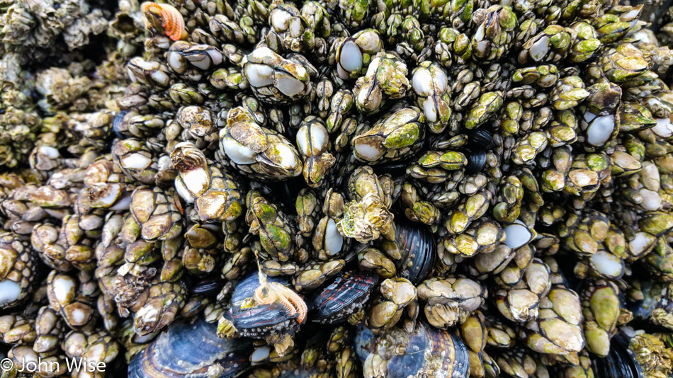 Cannon Beach, Oregon