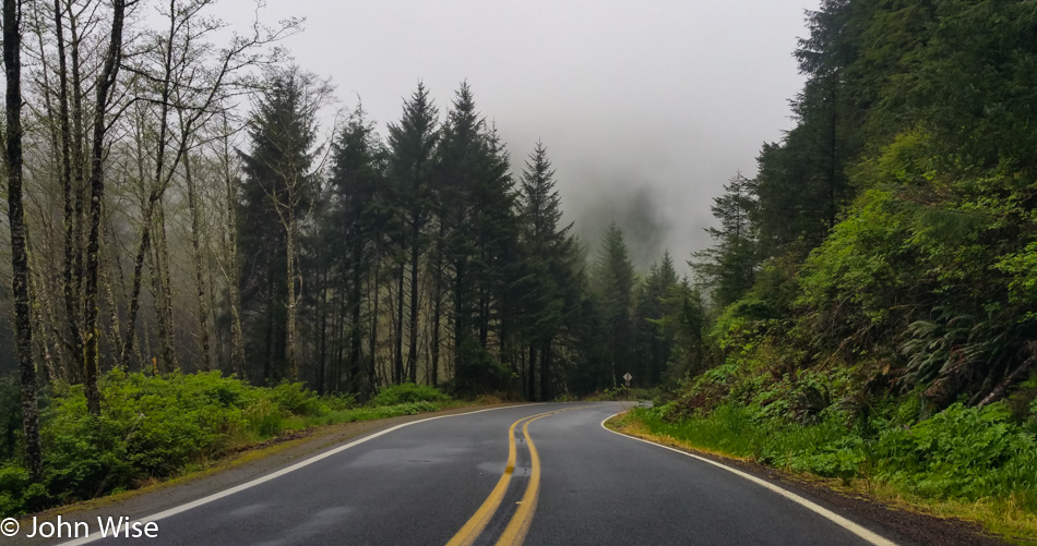 Misty coastal Oregon