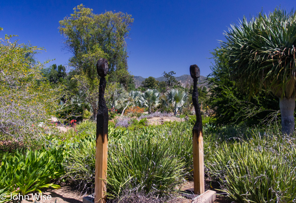 The Arboretum in Arcadia, California
