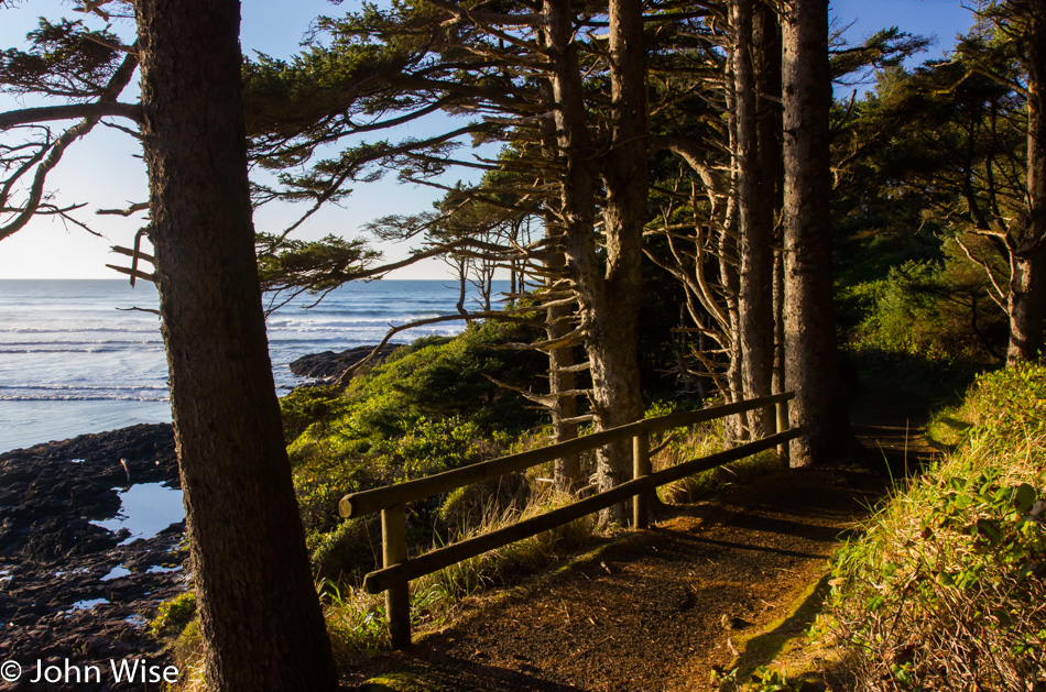 Hillside trail along the ocean in Oregon