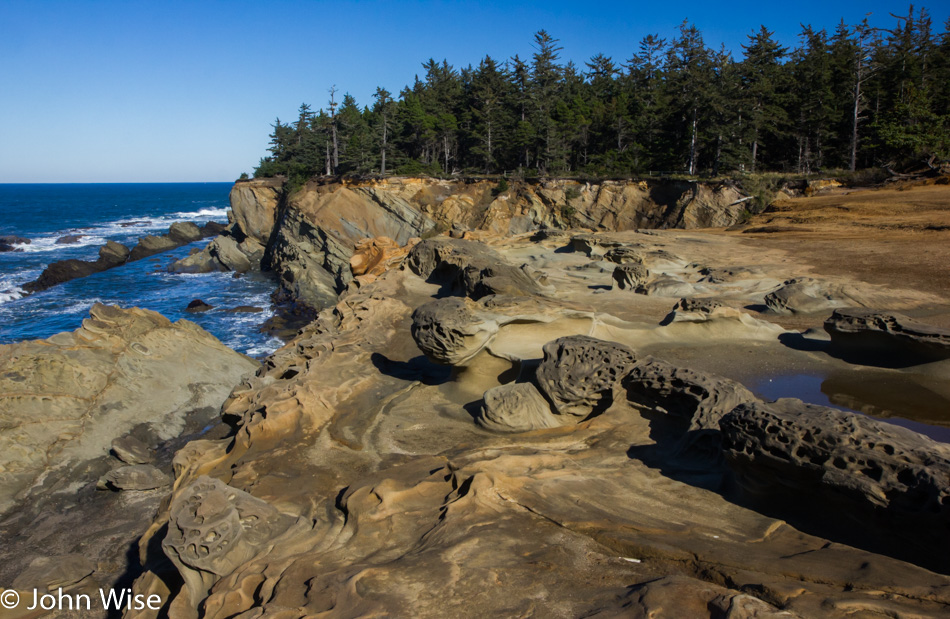 Shore Acres State Park in Oregon