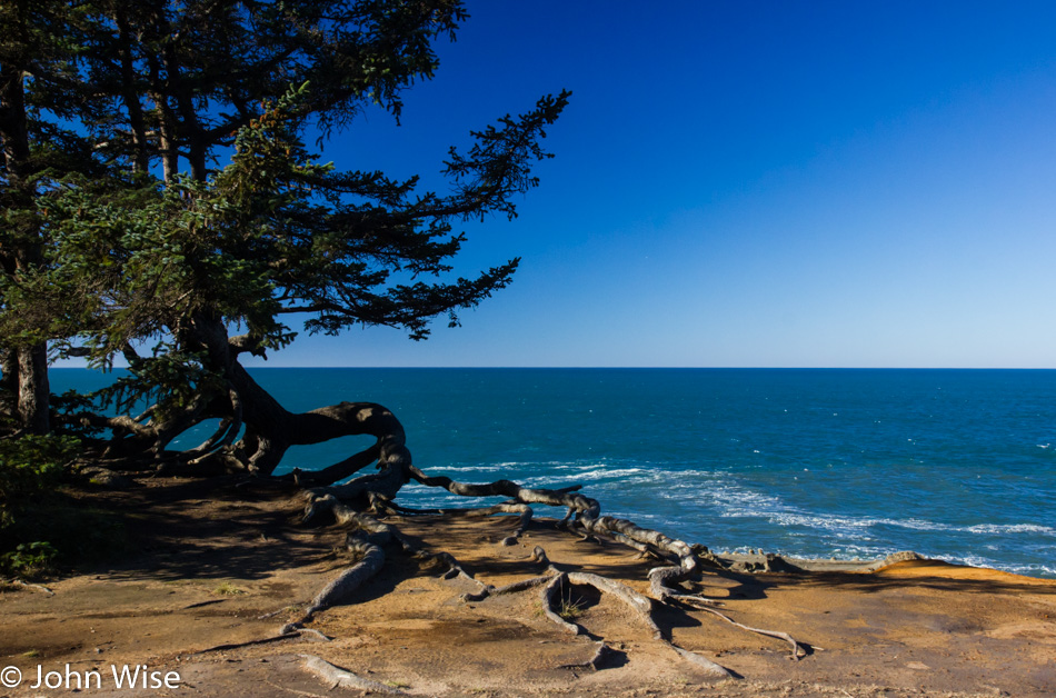 Shore Acres State Park in Oregon