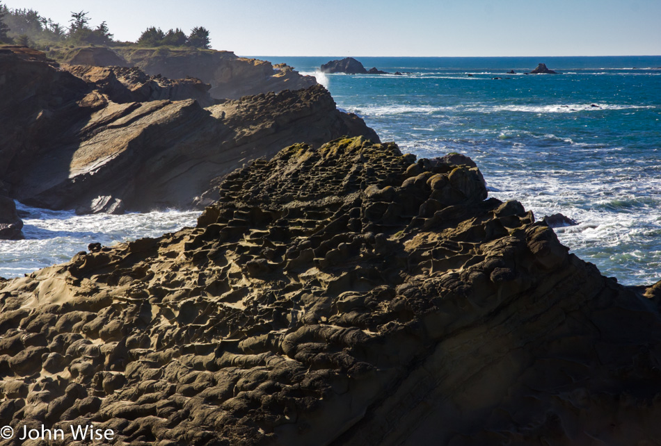 Shore Acres State Park in Oregon