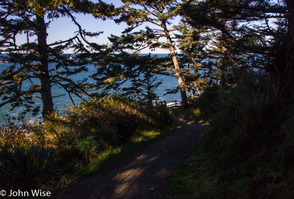 Trail at Cape Arago State Park in Oregon