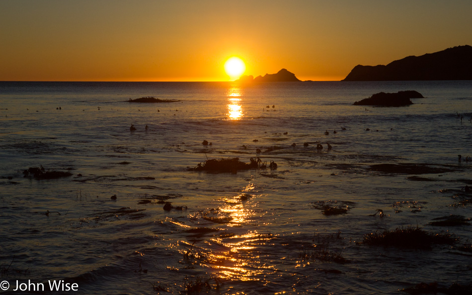 On the beach at Port Orford, Oregon