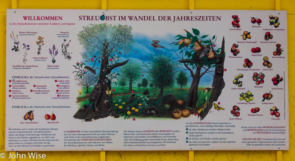 Poster teaching about the various apples that grow at Lohrberg in Frankfurt, Germany