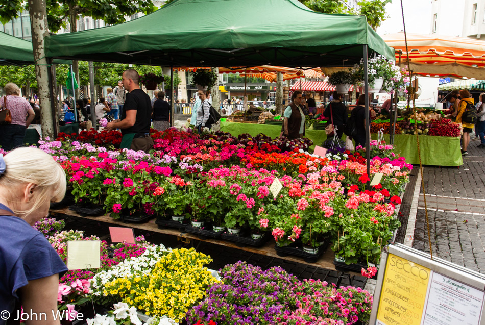 Flowers at Erzeugermarkt at Konstablerwache in Frankfurt, Germany