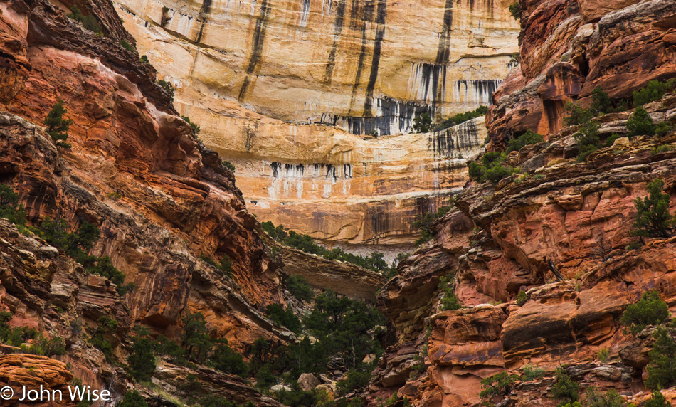 Cliff side details on the Yampa River