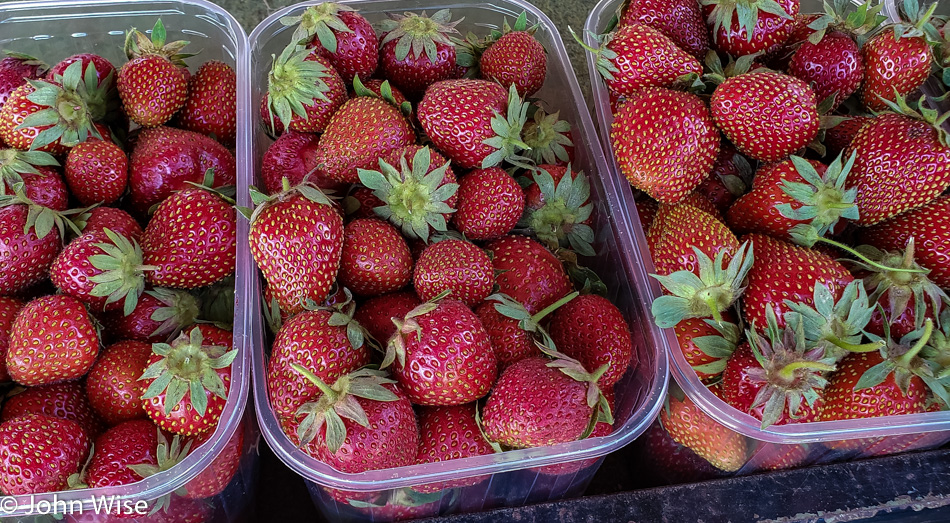 Strawberries roadside in Austria