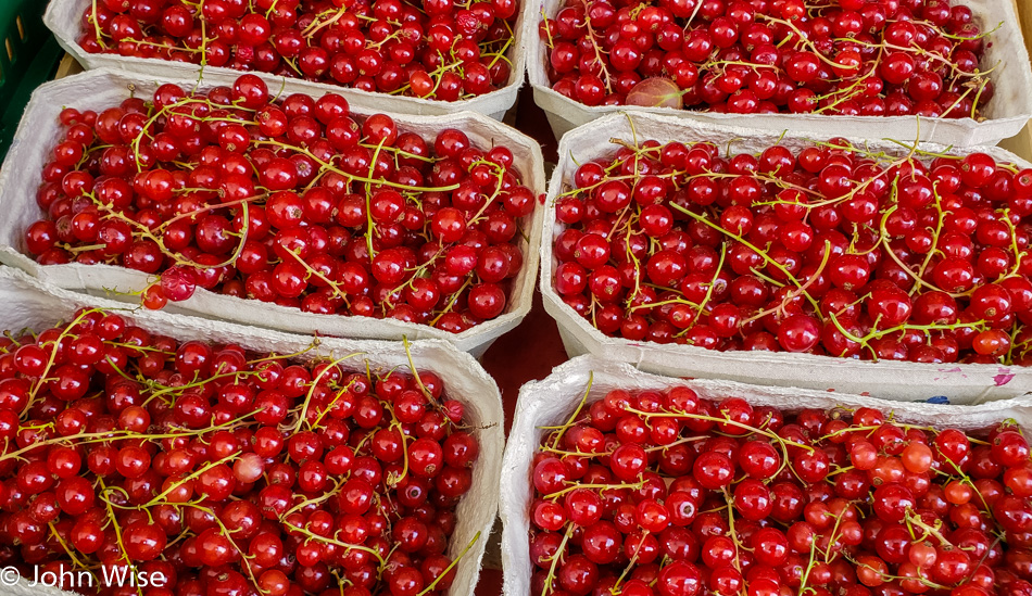 Red Currants in Frankfurt, Germany
