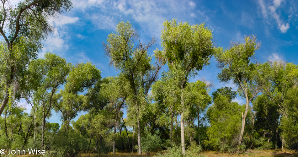 Hassayampa River Preserve