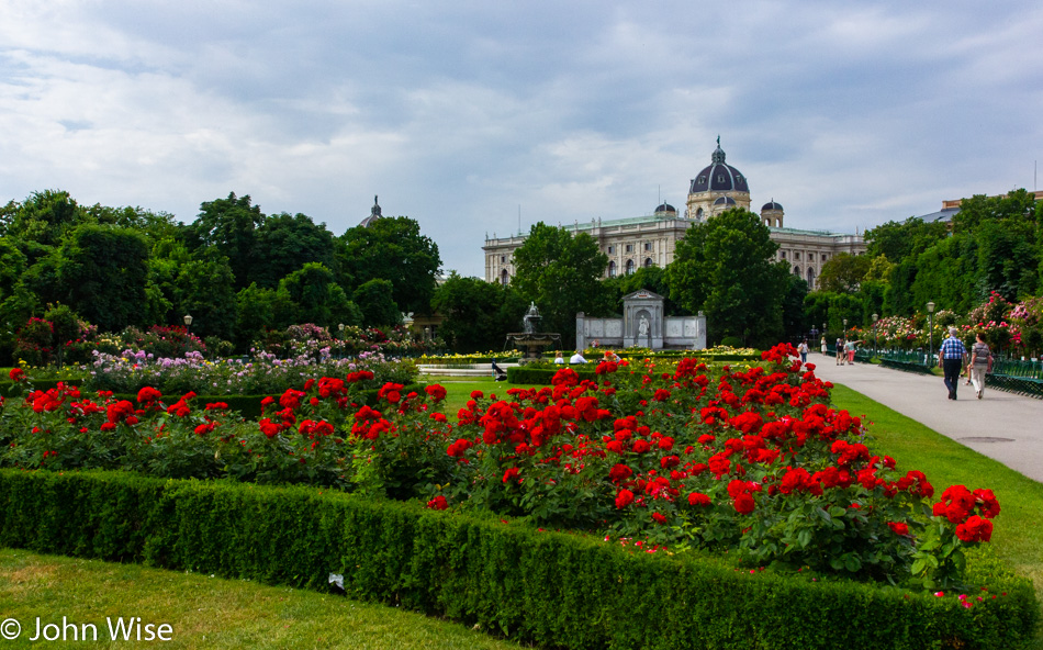 Rose Garden in Vienna, Austria