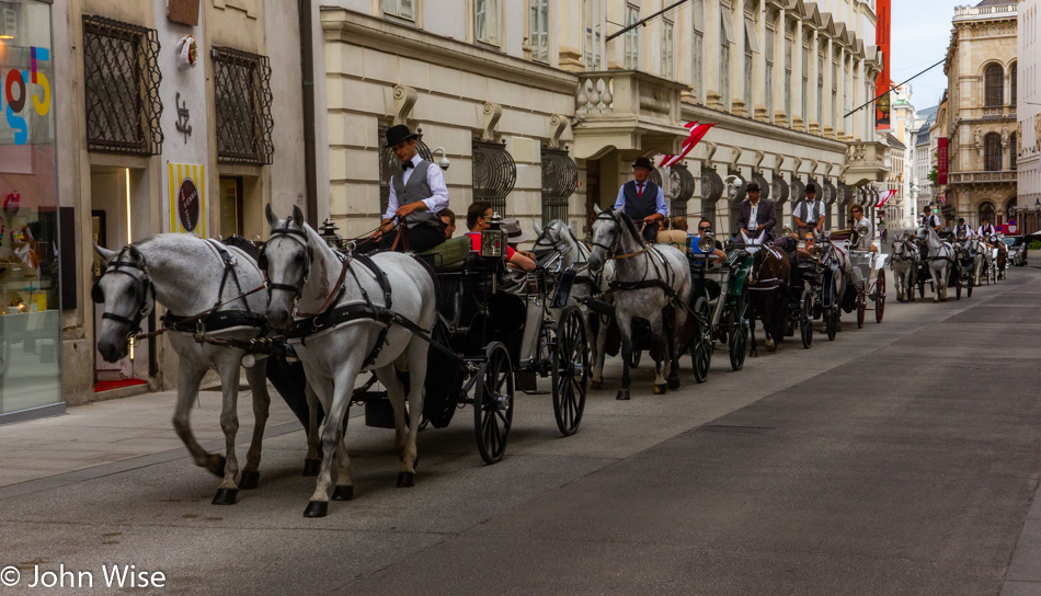 Fiaker in Vienna, Austria