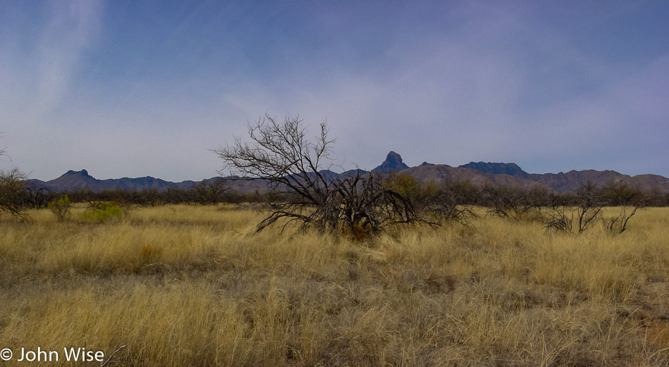 Buenos Aires National Wildlife Refuge in Arivaca, Arizona