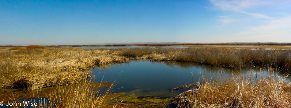 Bosque Del Apache National Wildlife Refuge in New Mexico