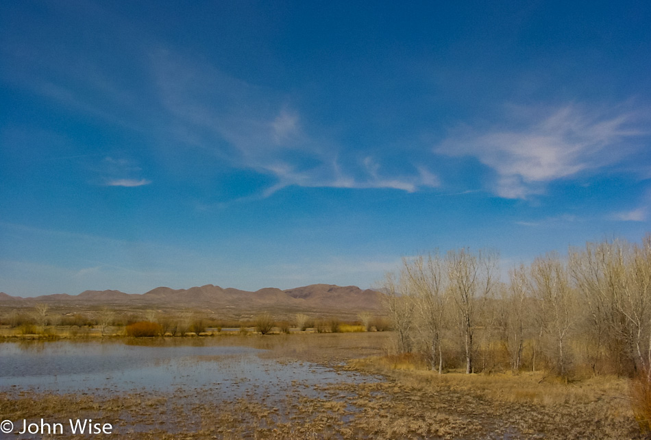 Bosque Del Apache National Wildlife Refuge in New Mexico